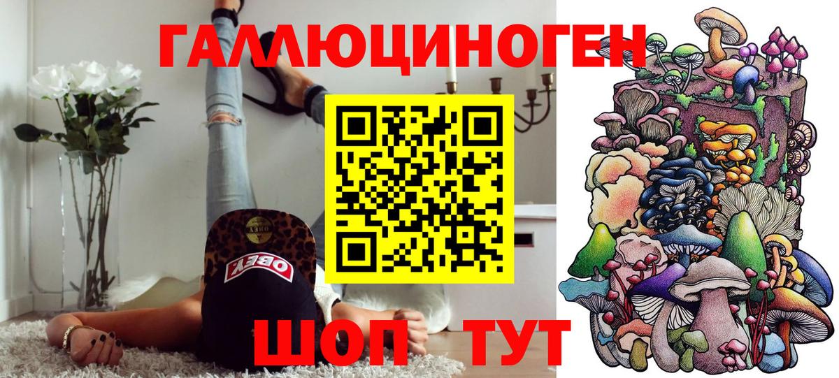 Буйнакск  Галлюциногенные грибы MAGIC MUSHROOMS  где купить наркотик  Вход с VPN 