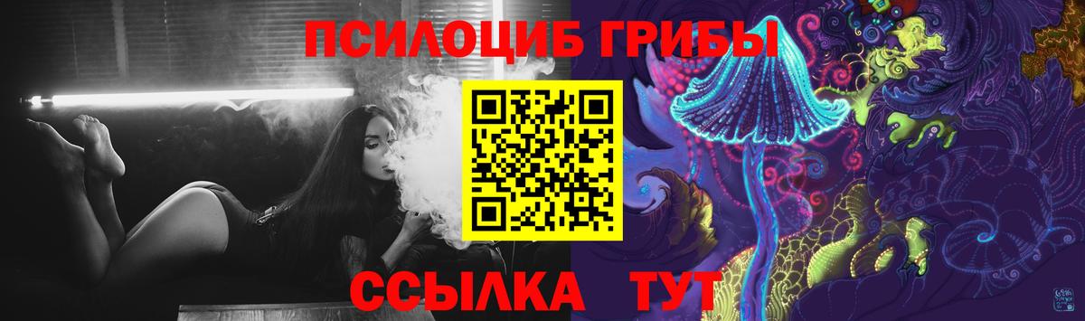 Галлюциногенные грибы Psilocybine cubensis Буйнакск